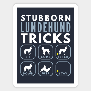 Stubborn Norwegian Lundehund Tricks - Dog Training Magnet